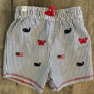 Mudpie Patriotic Seersucker Swim Trunk